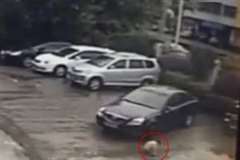 駐車場で遊んでいた子供が車に轢かれる