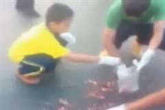 死亡事故で道路に散乱する肉片の清掃を手伝う少年