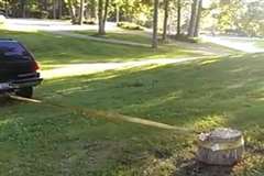 切り株にロープを結び車で引っ張って抜こうとしたところ・・・