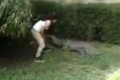 ワニに触りたい！動物園で柵を乗り越えワニに近付く女性が危険すぎる