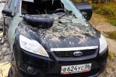 駐車中の車がクマに荒らされる