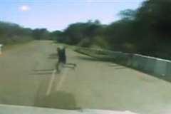 直線道路を走行中の車が突然目の前に飛び出してきた子供を撥ね飛ばす