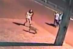 道路を歩いていた女性がピット・ブルに襲われる