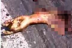 トラックに轢かれ全身引き裂かれたような状態で死亡している女性