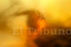 炎に巻かれ死にゆく消防士の叫び声が・・・