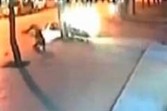 街路樹に激しく激突するライダーの姿を捉えた映像