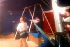 サーカスでブランコの演技中に団員が落下するアクシデント