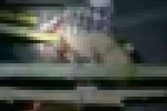 竹の棒に串刺しになり死亡した男性