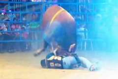 カウボーイが暴れ牛に顔面を踏みつけられ死亡