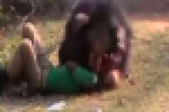 男性がクマに顔の肉を食い千切られる衝撃映像