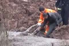 凍結状態の泥沼から老人を救助する