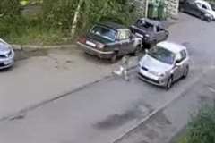 道路に飛び出してきた子供を車が撥ねる