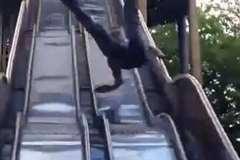 途中に段差がある滑り台を大人が滑り降りた結果・・・