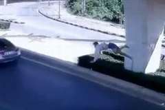 高架橋から下の道路に転落した男性が通りかかった車に轢かれる