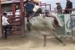 暴れ牛に乗るカウボーイが鉄柵に頭を打ちつけ死亡