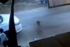 小さな子供が道路に飛び出し車に轢かれる