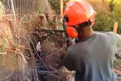 チェーンソーのキックバック現象であわや大惨事・・・