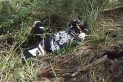 動けない！林の中で転倒したモトクロスライダーの背中の下に猛毒の蛇が・・・