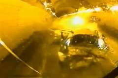 トンネル内の事故車両に気付かずノーブレーキで追突するバス