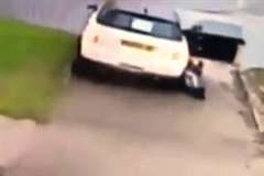 所有者の隙をつき車を強奪する男