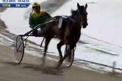 馬車のレースを撮影していたカメラマンが馬車に轢かれる