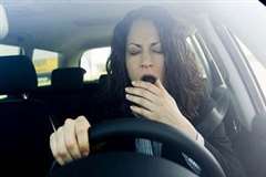 居眠り運転の車が街路樹に激突する