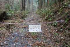 林道を横切るチェーンに引っ掛かり転倒するマウンテンバイク