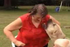 アイス・バケツ・チャレンジで奇声に反応したピットブルがチャレンジャーの顔面に咬み付く