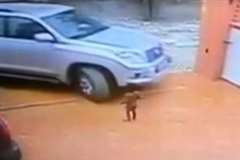 死角の恐怖・・・我が子を車で轢いてしまった父親