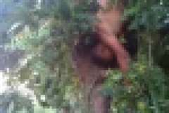 バイク事故か？・・・道路沿いの木にぶら下がっている男性の遺体が発見される