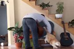 これはいい気味・・・イスの上で寝ていたネコを追い払ったら復讐された！