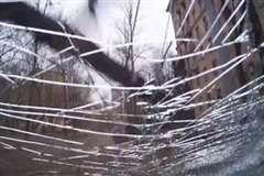 風に煽られて折れた巨大な街路樹が停車中の車を直撃！