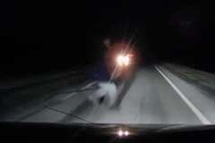 真っ暗な道路で突然目の前に現れた歩行者を撥ねる