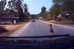 道路に飛び出してきた子供を車で撥ねてしまう映像
