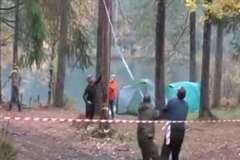 木が倒れる方向と同じ方向に逃げたところ・・・