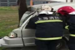 車が道路脇の木に激突し運転席に閉じ込められているドライバーを救助する