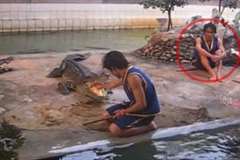 ワニのショーで緊迫した空気を笑いに変えたトレーナーの思わぬ行動